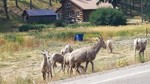 photo thumbnail #14