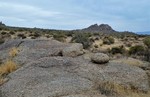 photo thumbnail #5