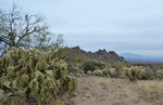 photo thumbnail #13