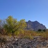 photo thumbnail #10