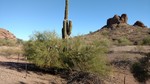 photo thumbnail #1