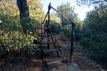 photo thumbnail #3