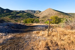 photo thumbnail #5