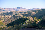 photo thumbnail #7
