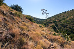 photo thumbnail #15
