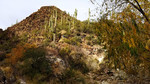 photo thumbnail #4