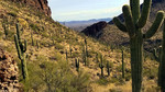 photo thumbnail #9