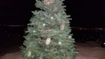photo thumbnail #3