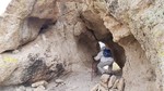 photo thumbnail #1