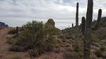 photo thumbnail #2