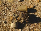 photo thumbnail #13