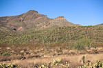 photo thumbnail #1
