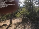 photo thumbnail #12