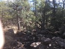 photo thumbnail #15