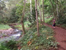 photo thumbnail #6