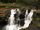 photo thumbnail #8