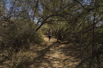 photo thumbnail #6