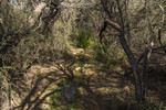 photo thumbnail #7
