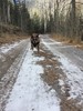 photo thumbnail #4