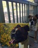 photo thumbnail #5