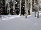 photo thumbnail #8
