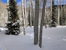 photo thumbnail #11