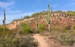 photo thumbnail #3