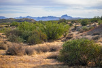 photo thumbnail #4