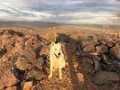 photo thumbnail #4