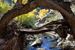 photo thumbnail #3