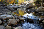 photo thumbnail #8