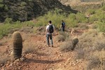 photo thumbnail #2