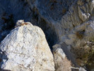 photo thumbnail #10