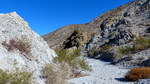 photo thumbnail #12