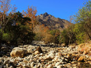 photo thumbnail #3