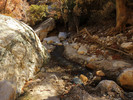 photo thumbnail #9