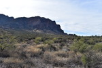 photo thumbnail #1