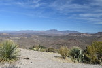 photo thumbnail #8