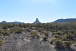 photo thumbnail #4