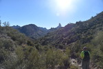 photo thumbnail #6
