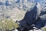 photo thumbnail #15