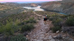photo thumbnail #1