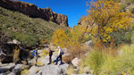 photo thumbnail #5