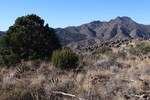 photo thumbnail #7