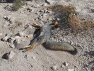 photo thumbnail #14