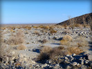 photo thumbnail #13