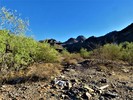 photo thumbnail #11