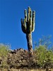 photo thumbnail #13