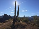 photo thumbnail #6