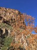 photo thumbnail #14